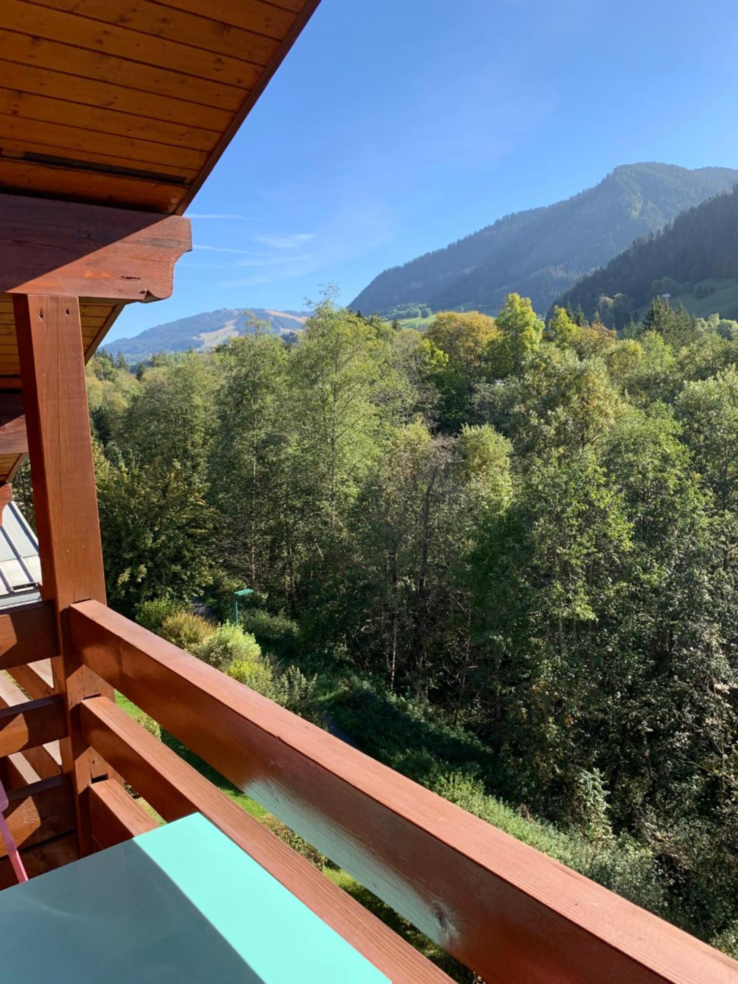 Appartement Vue Piste De Ski Praz-sur-Arly Exterior foto